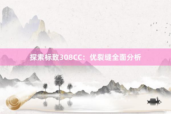 探索标致308CC：优裂缝全面分析